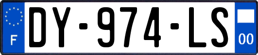 DY-974-LS