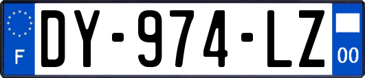 DY-974-LZ