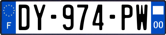 DY-974-PW