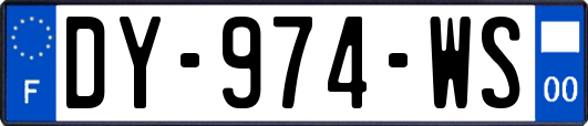 DY-974-WS