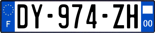 DY-974-ZH