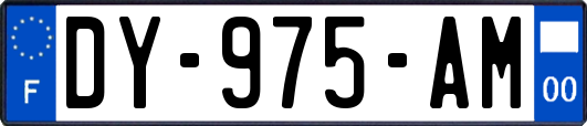 DY-975-AM