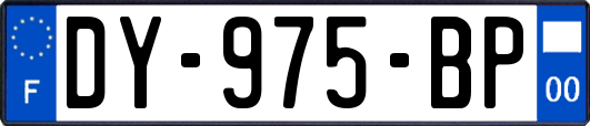 DY-975-BP