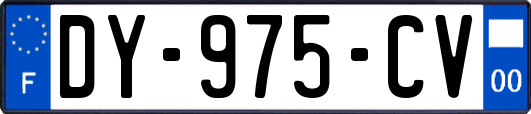 DY-975-CV