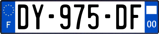 DY-975-DF
