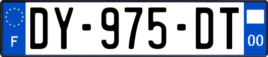 DY-975-DT