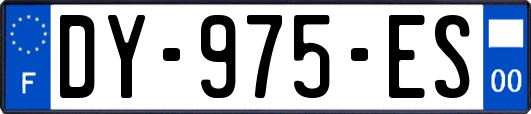 DY-975-ES
