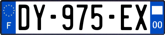 DY-975-EX