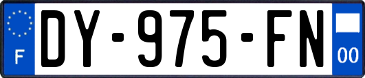 DY-975-FN