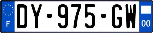 DY-975-GW