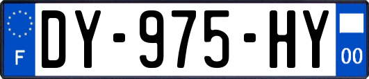 DY-975-HY