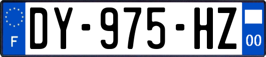 DY-975-HZ