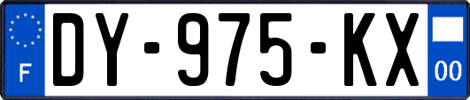 DY-975-KX