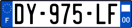 DY-975-LF