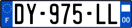 DY-975-LL