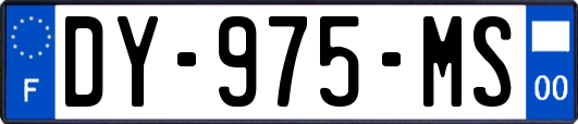 DY-975-MS