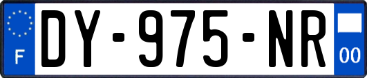 DY-975-NR