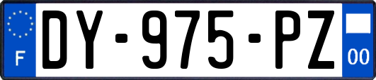 DY-975-PZ