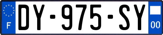 DY-975-SY