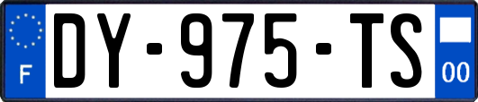 DY-975-TS