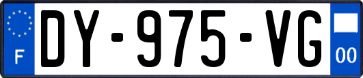 DY-975-VG