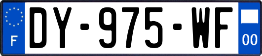 DY-975-WF