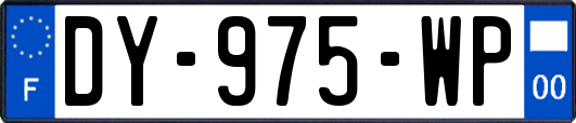 DY-975-WP