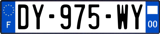 DY-975-WY