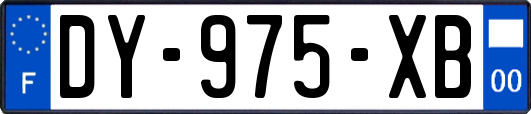 DY-975-XB