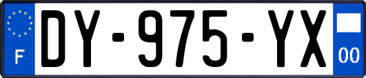 DY-975-YX