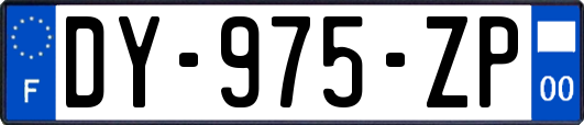 DY-975-ZP