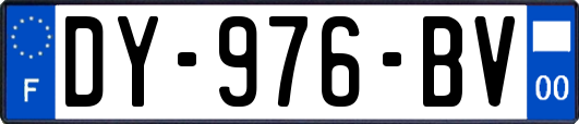 DY-976-BV