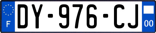 DY-976-CJ