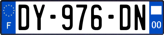 DY-976-DN