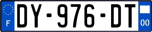DY-976-DT