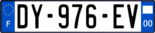 DY-976-EV
