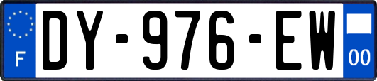 DY-976-EW