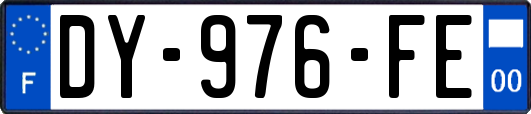 DY-976-FE