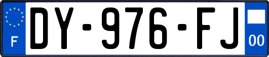 DY-976-FJ
