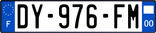 DY-976-FM