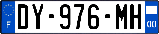 DY-976-MH