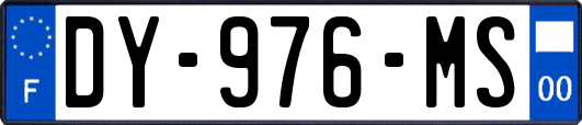 DY-976-MS