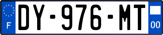 DY-976-MT