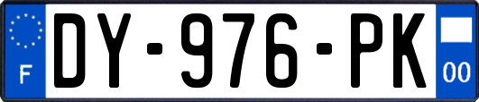 DY-976-PK