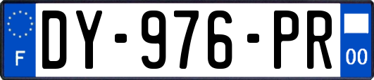 DY-976-PR