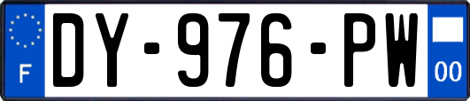 DY-976-PW