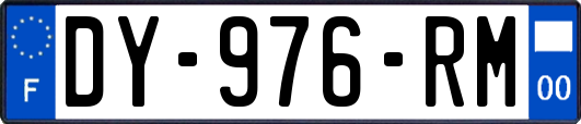 DY-976-RM