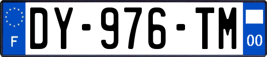 DY-976-TM