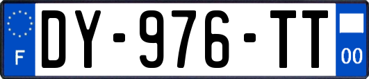 DY-976-TT