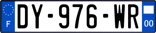 DY-976-WR